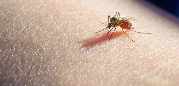 Συνολικά 14 περιστατικά στην περιοχή της Θεσσαλίας